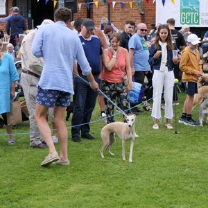 Goodworth Clatford Parish Council Village Fete/Garden Show