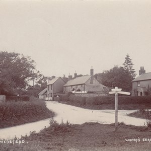 Medstead from the Green c1905