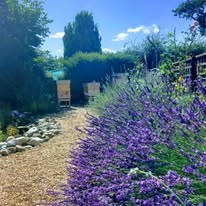 Bettisfield Village Hall Community Association Jolly Bee Apiary