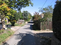 Puddleduck Lane looking East