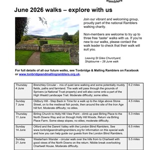 Snodland Town Council Posters for Noticeboards