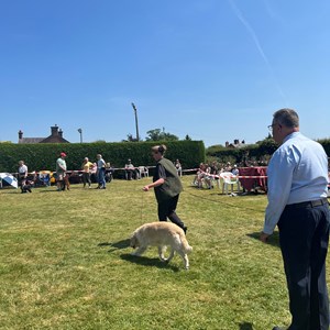 Whixall Social Centre Whixall Dog Show 2023 Report and Phots