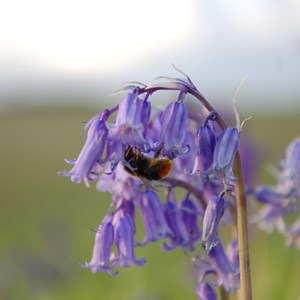 FACE-IT Image gallery