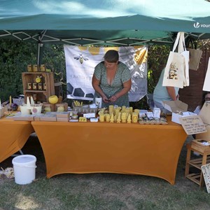 Goodworth Clatford Parish Council  Flower Show  2025 photographs.