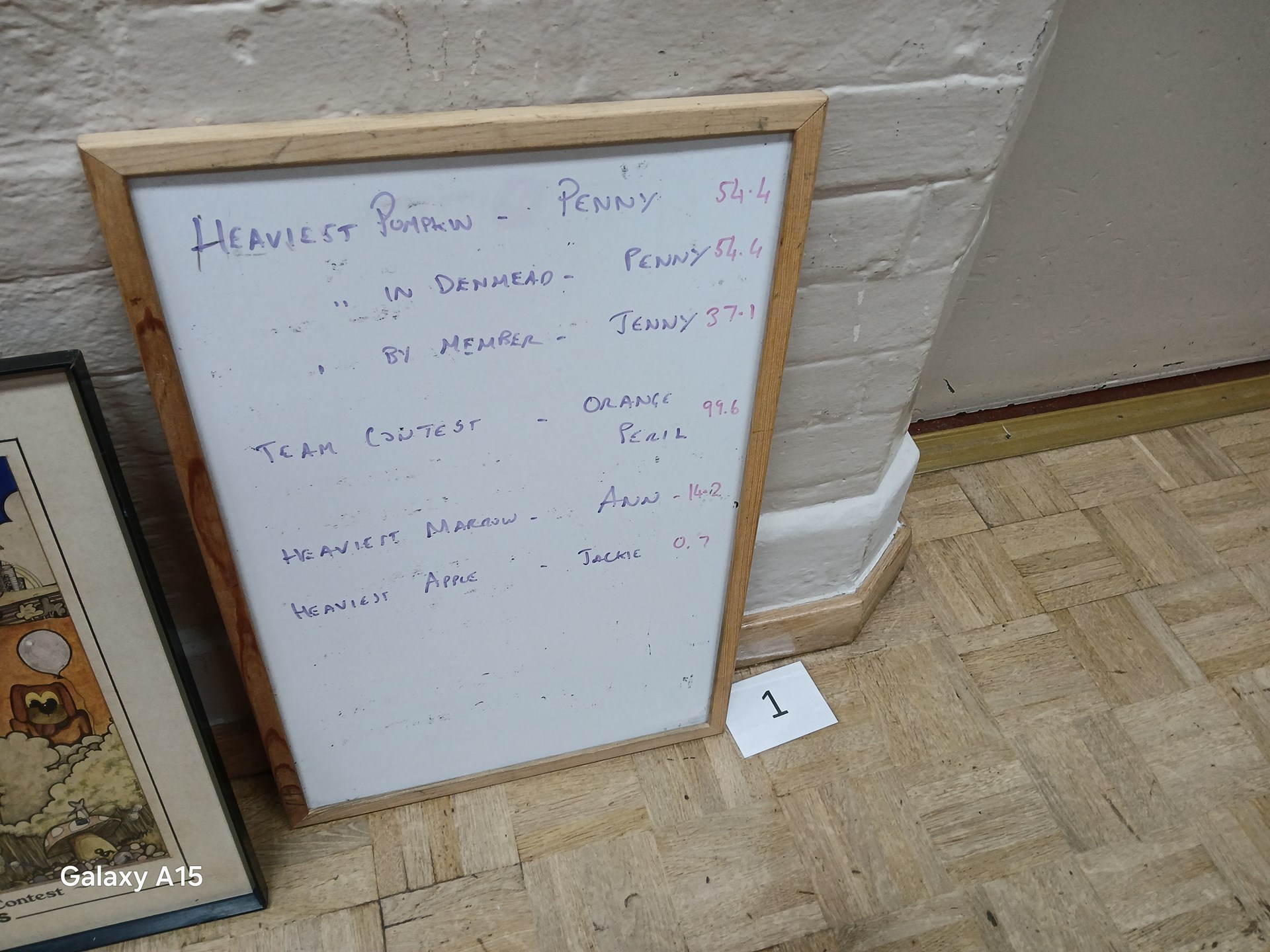 Denmead Horticultural Society Pumpkin Show 2025