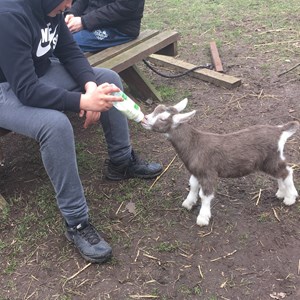 Red George Rural Skills Project Gallery