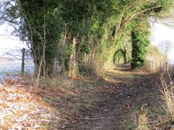 Bramdean & Hinton Ampner Parish Council Home
