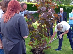 Smiths Dock Bowling Club Dave Little Memorial Tree 24/6