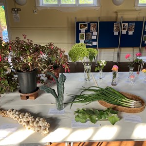 Mickleham and Westhumble Horticultural Society September 2023 Show pictures