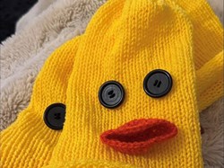 Crewe Lions Club Caps of Courage