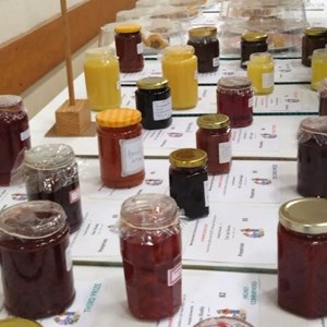 Mannings Heath & District Horticultural Society Summer Show 2025