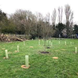 Asenby Parish Council The Community Park