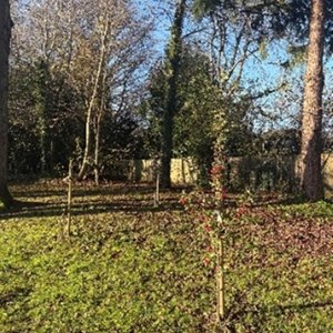 Speldhurst Parish Council Pocket Park Project