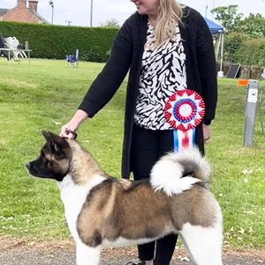 Whixall Social Centre Whixall Companion Dog Show 2024