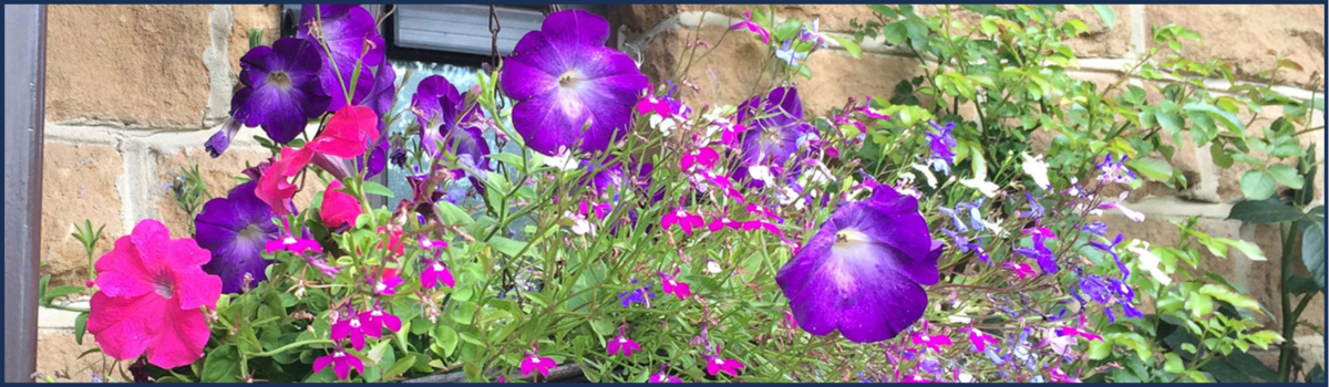 Beautiful hanging flower basket at St John the Baptist, Gunthorpe