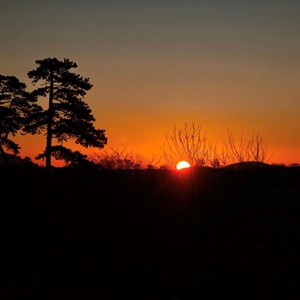 Sunrise - Phil Taylor