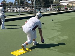 Henfield Bowling Club The Bowls