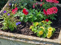 Castle Camps Bowls Club Castle Camps Open Gardens June 2026