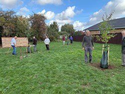 Kings Orchard end of day - 3 trees planted