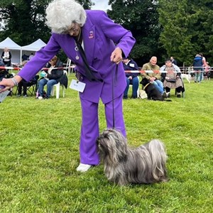 Whixall Social Centre Whixall Companion Dog Show 2024