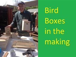 The RWB Shed Bird Box Kits