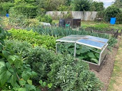 HBT Horticultural Society Garden Competition 2025