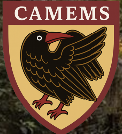 Read about our insignia in News Section