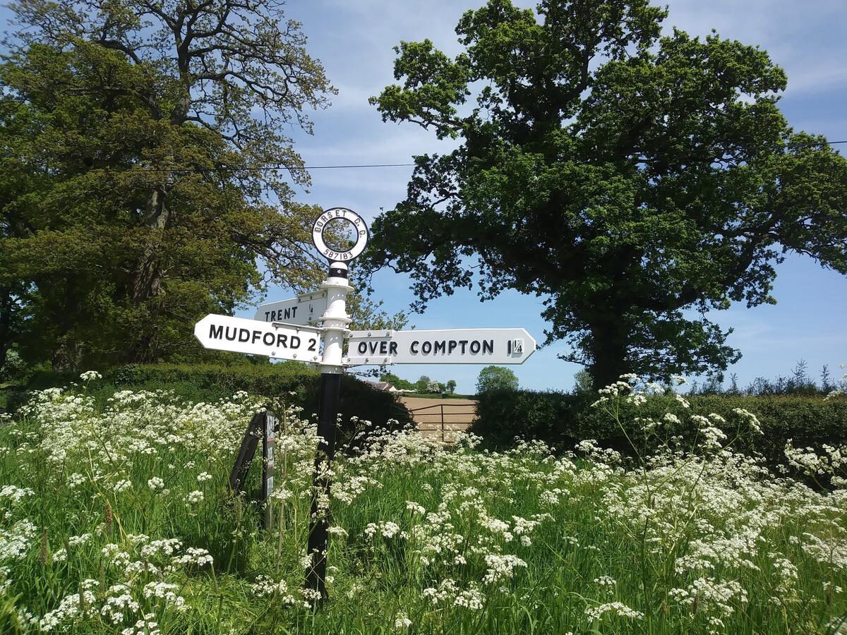 Newly restored fingerpost at Trent Triangle