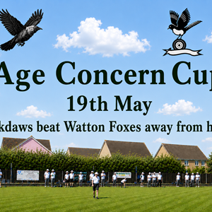 Aldiss Park Bowls Club Home