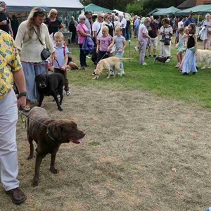 Goodworth Clatford Parish Council  Fete 2026 photos