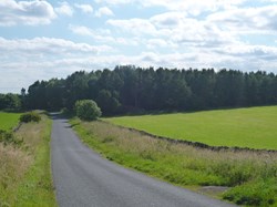 View of Thornley Wood