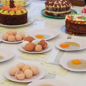 HBT Horticultural Society Photographs 2025