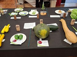 Sutton Valence Gardeners Association The Annual Shows