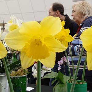 Mannings Heath & District Horticultural Society Photo Gallery