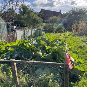 Balderton Parish Council Glebe Park Allotments