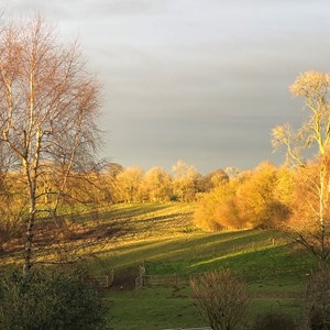 Cublington Parish Council Home