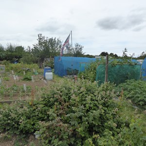 New Waltham Parish Council Allotments