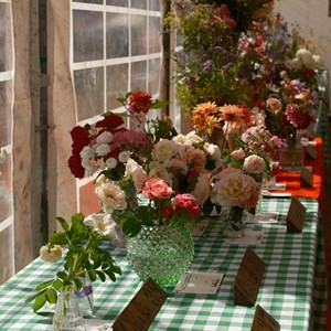 HBT Horticultural Society Photographs 2026