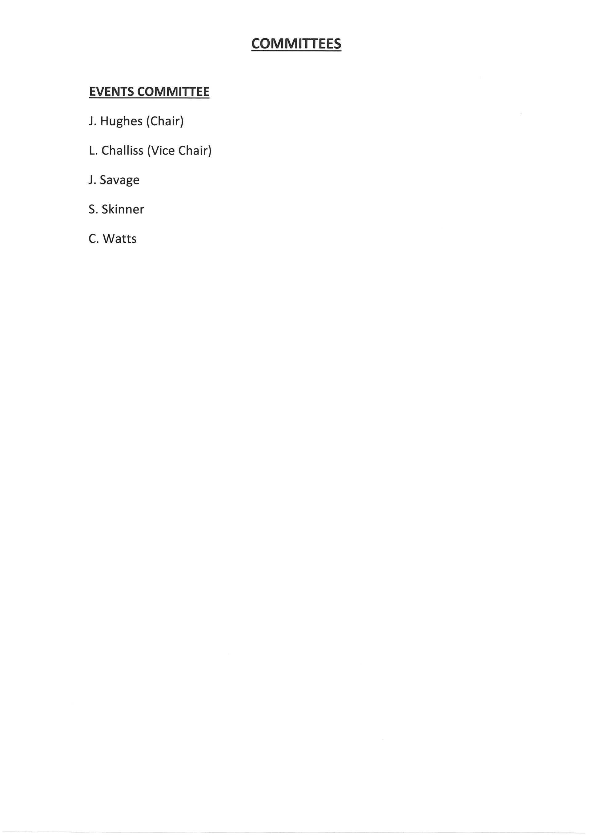 Brandon Town Council Committees