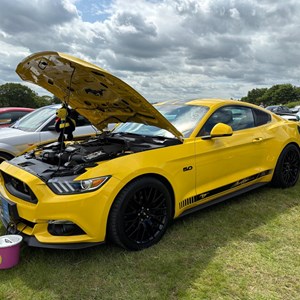 Louth & District Lions Classic Car Show