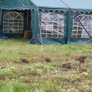 Boxford Parish Council Big Dig