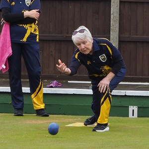 Aldiss Park Bowls Club County Ladies 4s Qtr/Sems