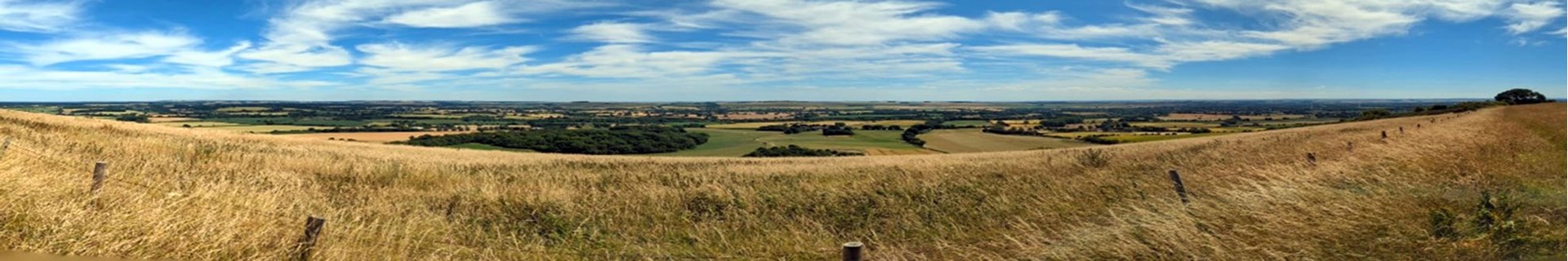 A spectacular shot of the area that awaited the walkers on the Martinsell Hill and Wootton Rivers walk [see last photo of July 10 walk, below]. ©BS