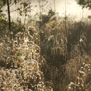 FACE-IT Image gallery