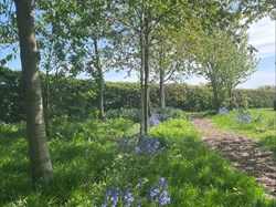 Balderton Parish Council Coronation Street Park
