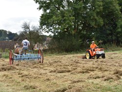 The Allington Hillbillies Horse drawn hay raking, the meadow.