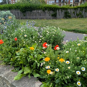 Raised planter at Sea Road