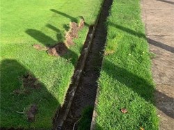 Victory Park Bowls Club Our Green