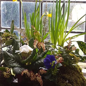 Easter 2016: One of several window displays crafted by June Dixon