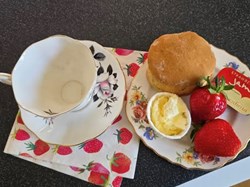 Buckland Dinham Strawberry Fayre